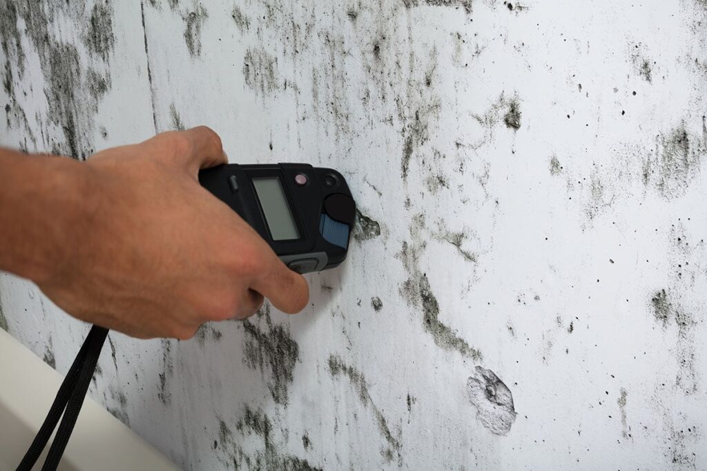 Choosing a Mold Inspection Professional